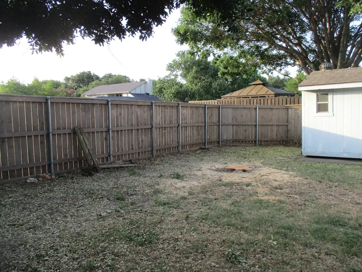Cleared yard after professional tree removal in Boyds